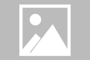 leyu团队-细化排名大型侧翼篇：詹杜卡制霸 字母锡安来袭